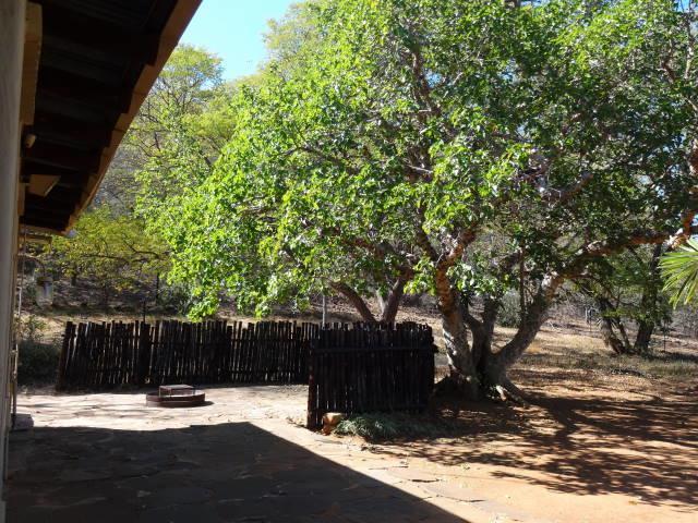 Lepelle Lodge Burgersfort Luaran gambar
