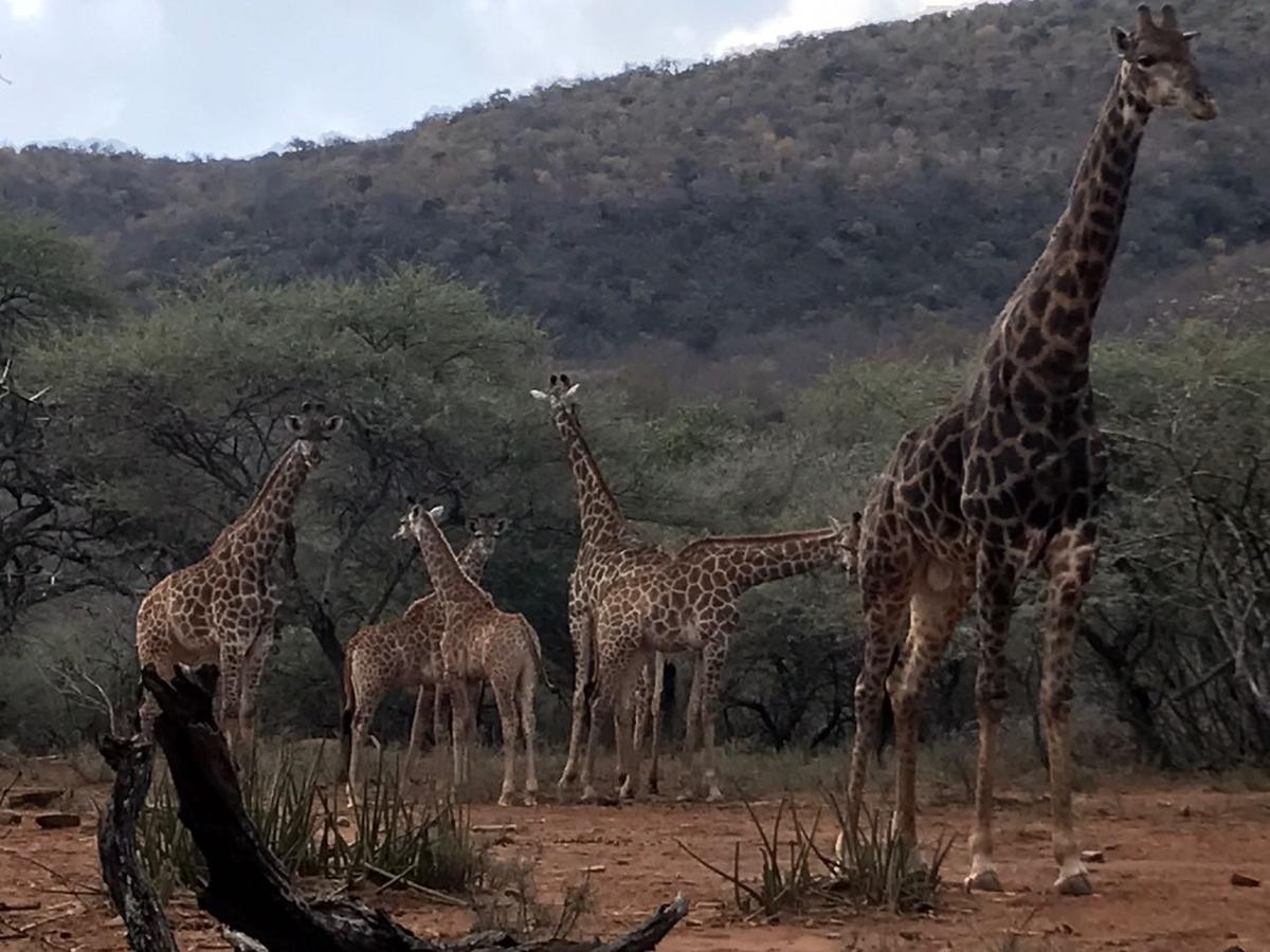 Lepelle Lodge Burgersfort Luaran gambar